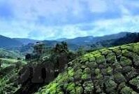 日韩一区二区三区精品-探索日韩文化影视的多元化魅力,一区、二区、三区的精品赏析